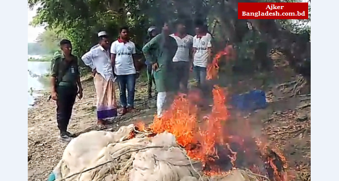 কলাপাড়ায় ২০ হাজার মিটার অবৈধ চায়না দুয়ারী জাল জব্দ