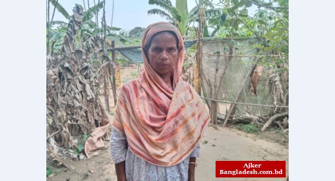 শেরপুরে ৭ বছরেও বিধবা নারী মমেনার ভাগ্যে জুটেনি বিধবা ভাতার কার্ড
