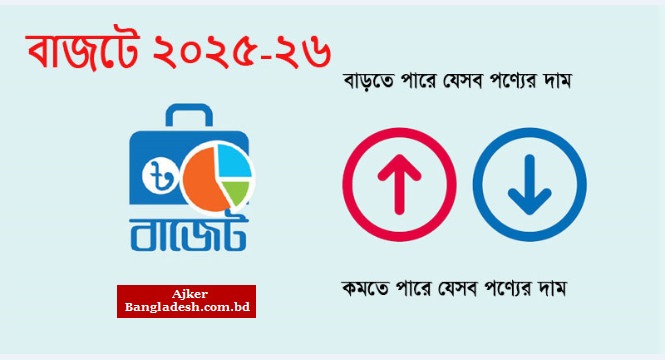 জাতীয় বাজেট ২০২৫-২৬ : এসি-ফ্রিজ, রড ও স্টিলসহ দাম বাড়তে পারে যেসব পণ্যের