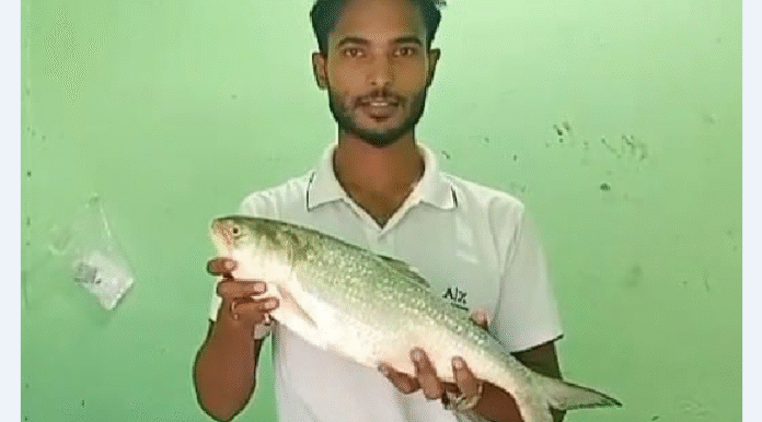 একটি ইলিশ ৮ হাজার ৭৫০ টাকা