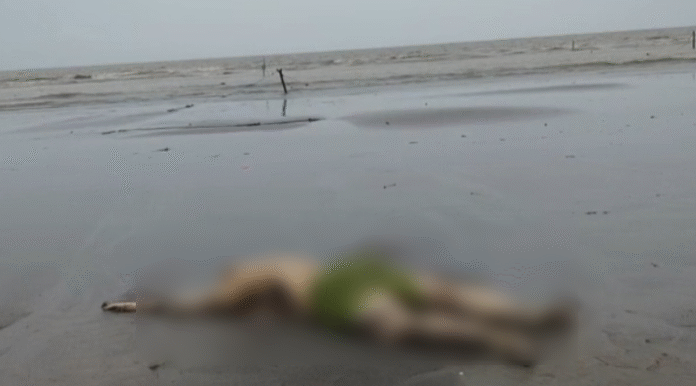 কুয়াকাটায় বঙ্গোপসাগর থেকে অর্ধগলিত মরদেহ উদ্ধার