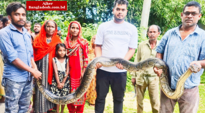 শ্রীমঙ্গলে শ্মশান থেকে ২৫ কেজির বিশাল অজগর উদ্ধার