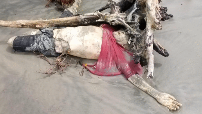 কুয়াকাটা সৈকত থেকে অজ্ঞাত যুবকের অর্ধগলিত মরদেহ উদ্ধার
