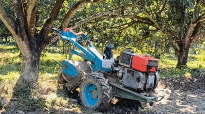 বাঘায় জমি চাষ করতে গিয়ে যুবকের মৃত্যু