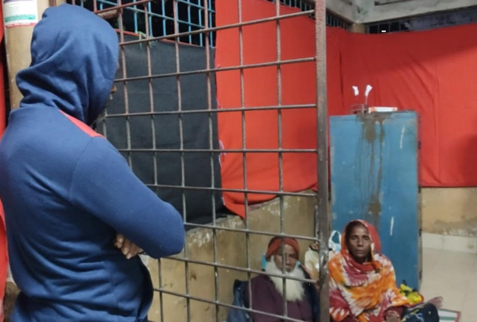 কুষ্টিয়ায় রাসেলস ভাইপার ধরে নিয়ে হাসপাতালে কৃষক