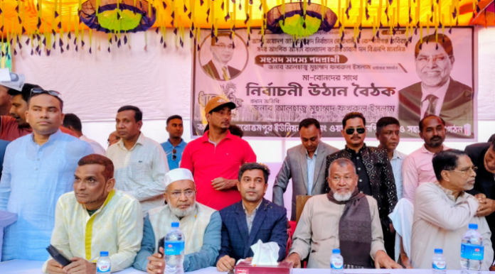নোয়াখালীতে ধানের শীষের উঠান বৈঠকে নারীদের ঢল