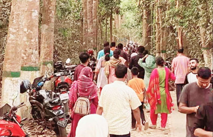শীতের আমেজে পর্যটকে সরব চায়ের রাজ্য মৌলভীবাজার