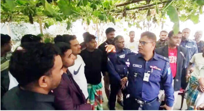 মানিকগঞ্জের সিংগাইরে গরু চুরি করতে গিয়ে জনতার গণধোলাইয়ের শিকার হয়ে ২ চোর নিহত
