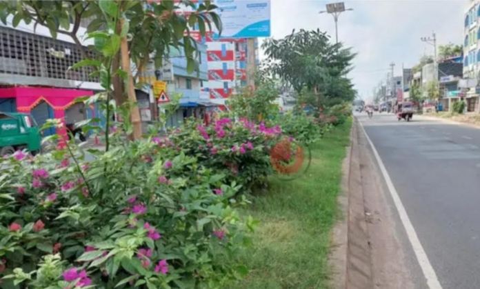 সড়ক বিভাজকে বাহারি ফুলগাছে বদলে গেছে কুষ্টিয়া শহর