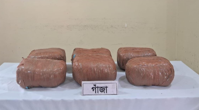 চাঁপাইনবাবগঞ্জে ১৮ কেজি গাঁজাসহ ট্রাকচালক গ্রেফতার