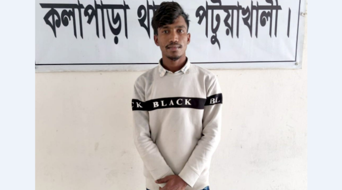 কলাপাড়ায় গরু চুরি করে জবাই দিয়ে ভাগাভাগি, কৃষকদলনেতাসহ পাঁচ জনের নামে মামলা