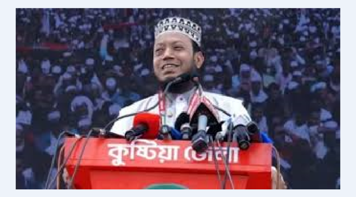 ‘কুষ্টিয়ায় এখন ওপরওয়ালা আমিই’: এমপি আমির হামজার মন্তব্যে তোলপাড়, ফেসবুকে ব্যাখ্যা