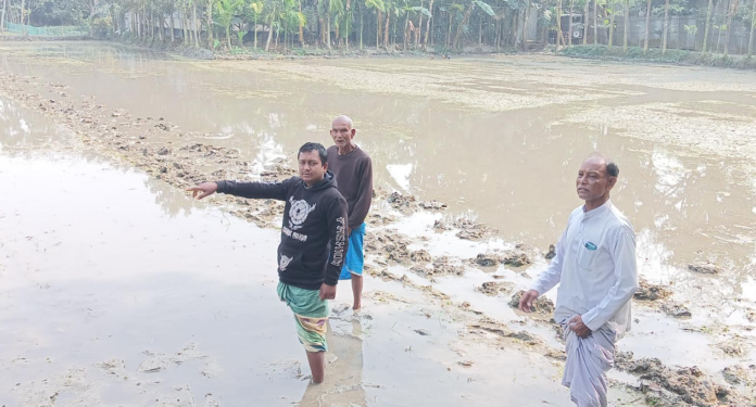 উলিপুরে হিন্দু সম্প্রদায়ের ১শ ৩৫ শতক জমি দখল করে নেয়ার অভিযোগ