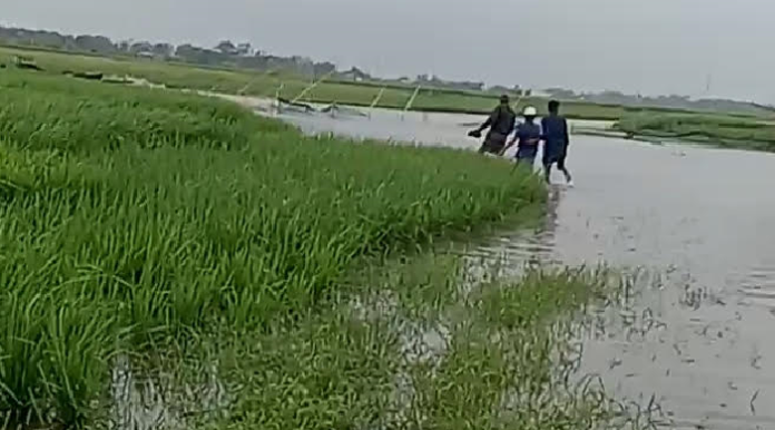 আগামীকাল ঈদ: টাঙ্গুয়ার হাওরবাসীর আনন্দ ম্লান