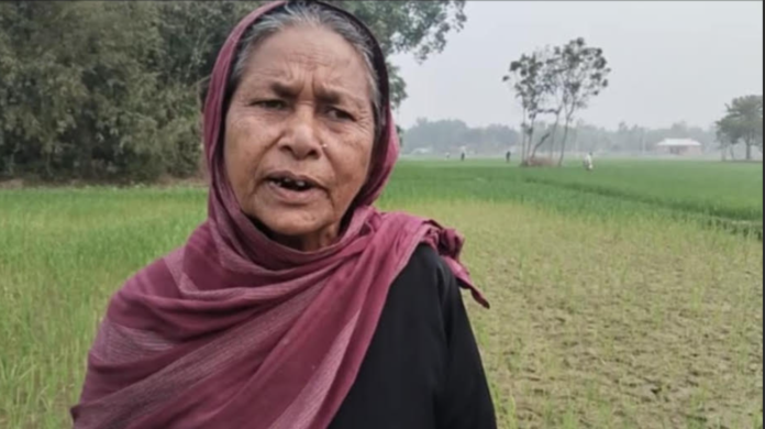 সেচ পাম্পের পানি বন্ধ করে দেওয়ায় বোরো ধান ক্ষতির অভিযোগ