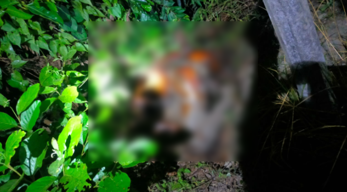 নোয়াখালীতে যুবককে পিটিয়ে পুড়িয়ে হত্যা