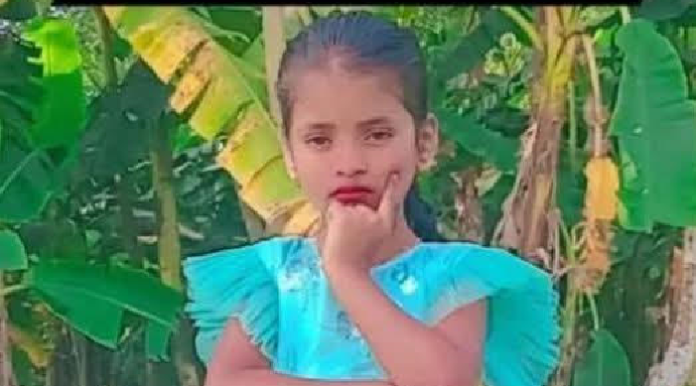 মানিকগঞ্জে নিখোঁজের ৫ ঘন্টা পর ভুট্টা খেতে মিলল শিশুর লাশ,গণধোলাইয়ে ২ জন নিহত
