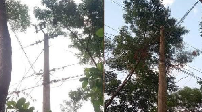 পটুয়াখালীতে ট্রান্সফরমার চুরি বিদ্যুৎ না থাকায় স্থবির হয়ে পড়েছে জনজীবন