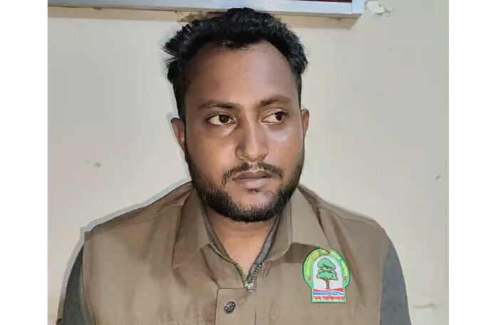 মহিপুরে বন কর্মকর্তাদের মারধর, মোবাইল ছিনতাই ও টাকা লুট