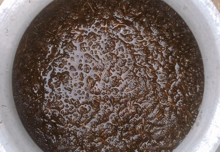 টাঙ্গুয়ার হাওরে হাঁসের বিচরণ কমায়,বাড়ছে টাকী ও শৌল মাছের পোনা