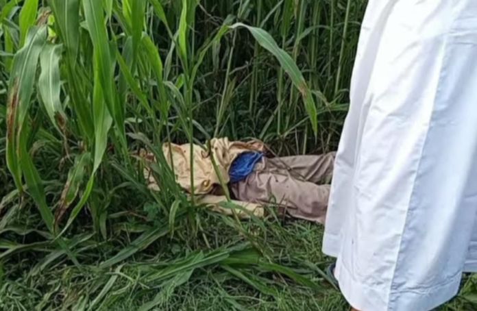শাহজাদপুরে ঘাস ক্ষেত থেকে কিশোরের গলাকাটা লাশ উদ্ধার
