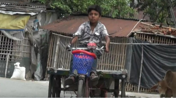 কুষ্টিয়ায় ১০ বছরের হাসানের কাঁধে পরিবারের হাল