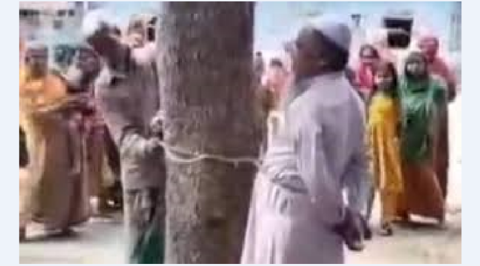 অমানবিক বৃদ্ধকে গাছে বেঁধে নির্যাতন
