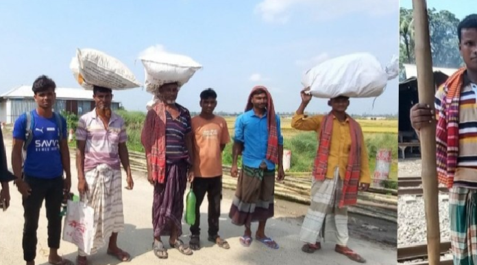 উল্লাপাড়ার মোহনপুর উধুনিয়ায় দলবেধে আসছেন মজুরেরা, হাজিরা ১১ শ টাকা সাথে তিন বেলা খাবার
