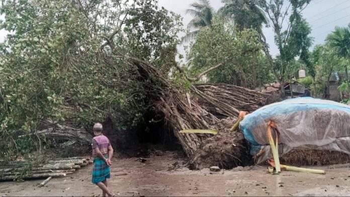 কালবৈশাখীর ঝড়ে উপড়ে গেল মধুকবির স্মৃতিবিজড়িত আড়াইশ’ বছরের ঐতিহ্যবাহী বটবৃক্ষ