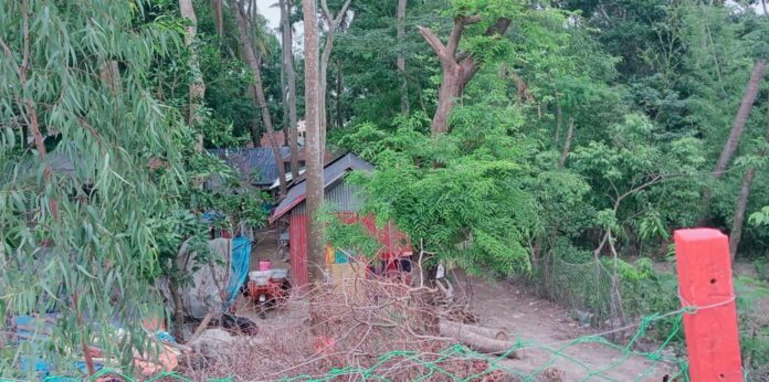 কুয়াকাটায় শত কোটি টাকার সরকারি খাস জমি অনিয়মে বন্দোবস্ত নিয়ে বিক্রীর পাঁয়তারা