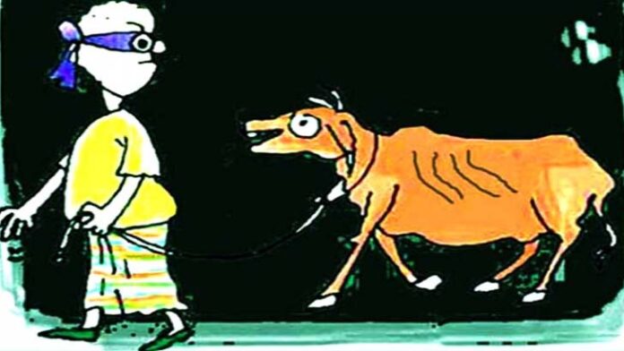 গভীর রাতে খামার থেকে ৬ লাখ টাকার গরু চুরি