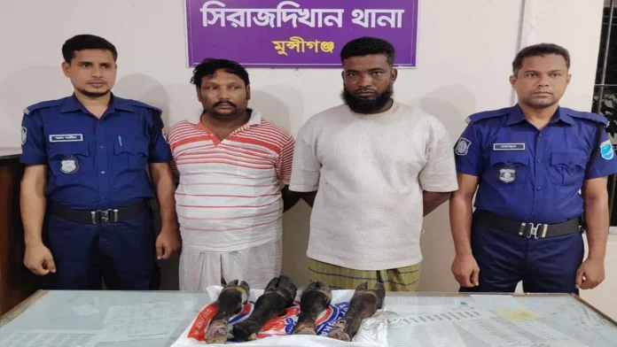 মুন্সীগঞ্জে গরু চুরির অভিযোগে আ.লীগ নেতার ছেলেসহ গ্রেপ্তার ২: উদ্ধার জবাই করা গরুর পা