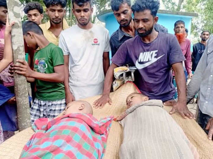 পুকুরে ডুবে আপন দুই ভাইয়ের মৃত্যু