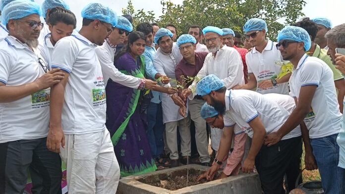 সাপাহার জবই বিলে বৃক্ষ রোপণ ও পরিচ্ছন্ন অভিযান