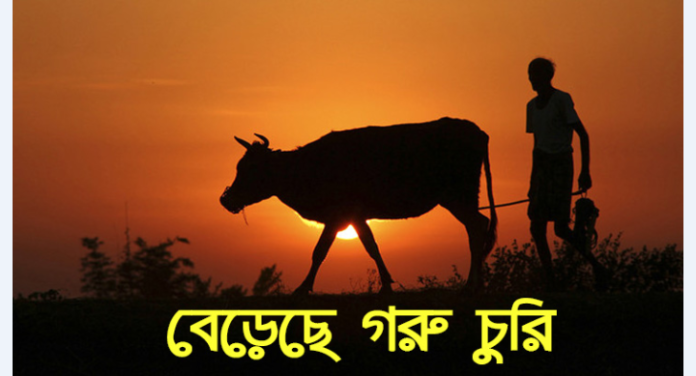 চাঁপাইনবাবগঞ্জের ভোলাহাটে গরু চোর সন্দেহে গণপিটুনিতে যুবকের মৃত্যু