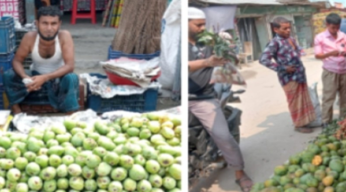 মৌসুমী ফলে বিষাক্ত রাসায়নিক, হুমকির মুখে জন স্বাস্থ্য