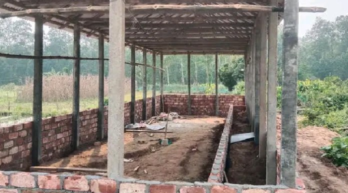 ঝিনাইগাতীতে সরকারি বনভূমি দখল করে অবৈধ স্থাপনা নির্মাণ