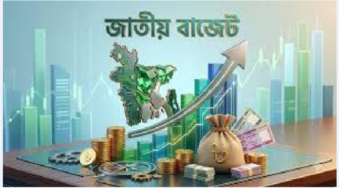 আগামী ৫ বছরের ট্যাক্স মাস্টারপ্ল্যান: কমছে মধ্যবিত্তের চাপ, বাড়ছে করমুক্ত আয়সীমা