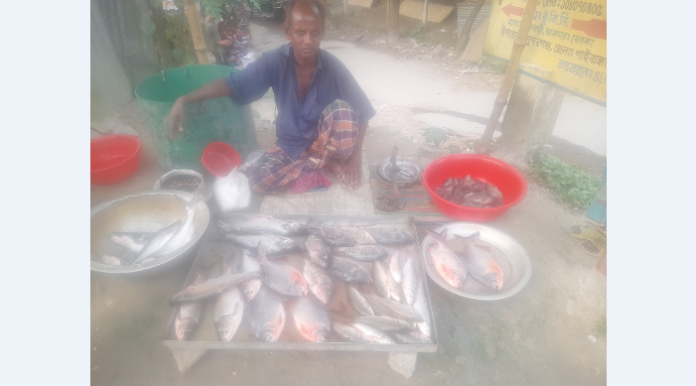 সুন্দরগঞ্জে পিরানহাকে রূপচাঁদা নামে বিক্রি