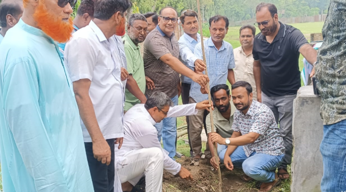 ভাঙ্গুড়ায় ৫ বছরে ২৫ কোটি বৃক্ষরোপণ কর্মসূচির আওতায় বৃক্ষরোপণ কার্যক্রমের শুভ উদ্বোধন