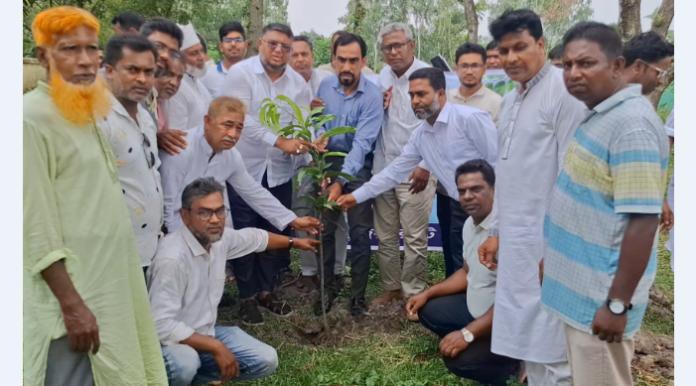 সবুজ বাংলাদেশ গড়ার প্রত্যয়ে জয়পুরহাটে বৃক্ষরোপণ কর্মসূচি উদ্বোধন 