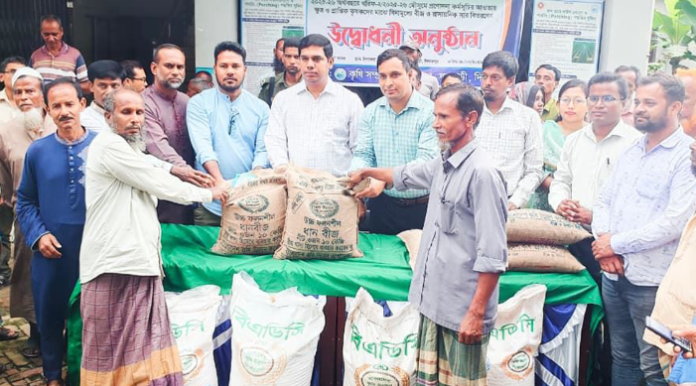 ফুলবাড়ীতে সাড়ে তিন হাজার ক্ষুদ্র ও প্রান্তিক কৃষকের মাঝে বিনামূল্যে সার ও রোপা আমন ধানের বীজ বিতরণ
