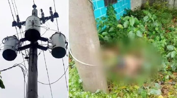 ট্রান্সফরমার চুরি করতে গিয়ে বিদ্যুৎস্পৃষ্টে যুবকের মৃত্যু
