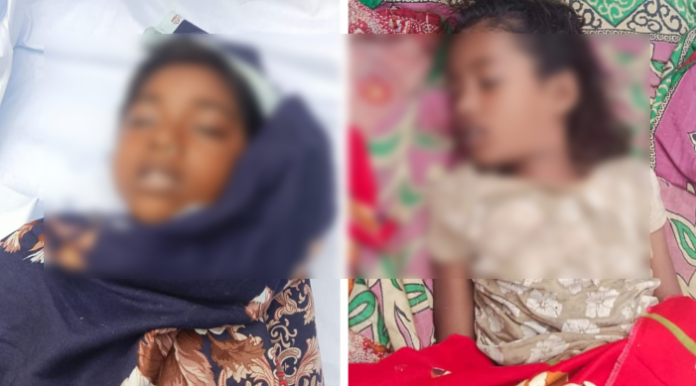 মহিপুরে মাছ ধরতে গিয়ে দুই শিশুর মৃত্যু