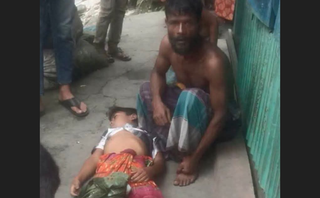মাছ ধরতে গিয়ে সাপের কামড়ে শিশুর মৃত্যু