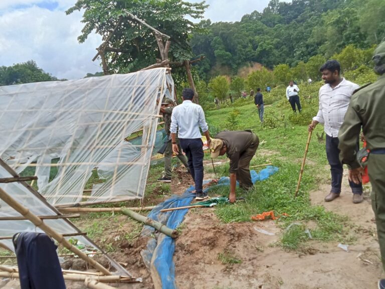 কমলগঞ্জে ৫ একর সংরক্ষিত বনভূমি দখলমুক্ত, অবৈধ ফলের বাগান উচ্ছেদ