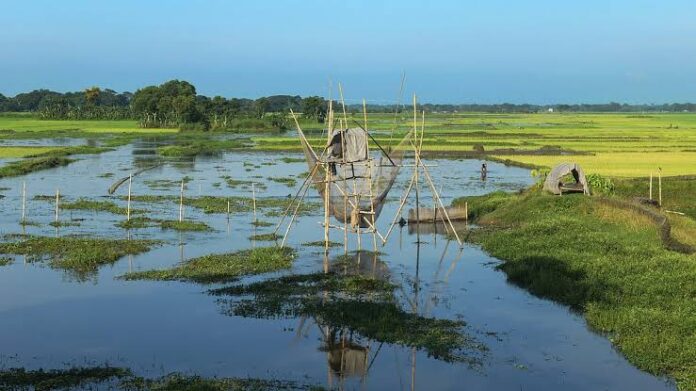 গৌরীপুরে হারিয়ে যাচ্ছে খাল-বিল, বাড়ছে জলাবদ্ধতা ও সেচ সংকট