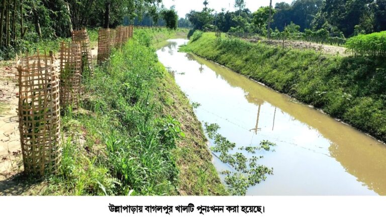 উল্লাপাড়ায় নদী-খাল পুনঃখননে কৃষিতে আসছে বদল