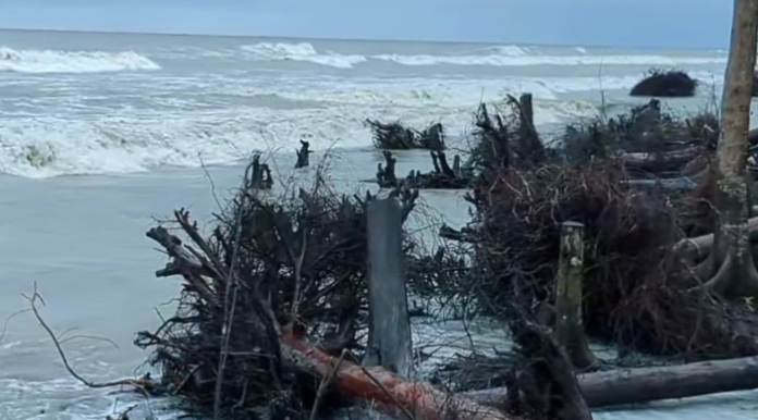 ভাঙ্গন ও অব্যবস্থাপনায় সাগরকন্যা কুয়াকাটা সৌন্দর্য বিলিনের পথে