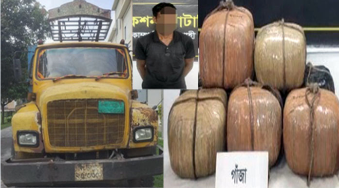 মোহনপুরে বিপুল পরিমান গাঁজাসহ গ্রেফতার ১